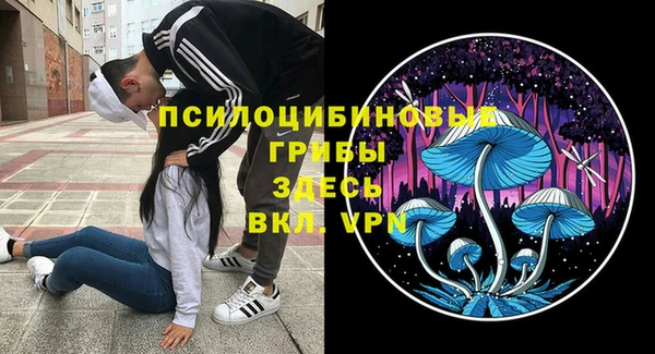 амф Арсеньев