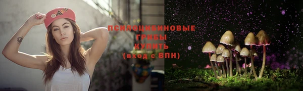 ГАЛЛЮЦИНОГЕННЫЕ ГРИБЫ Армянск