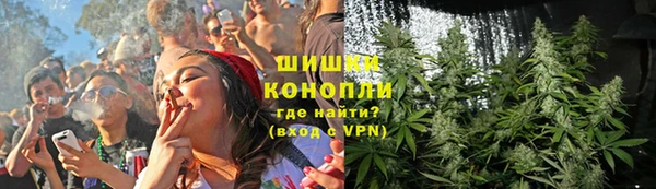 ГАЛЛЮЦИНОГЕННЫЕ ГРИБЫ Армянск
