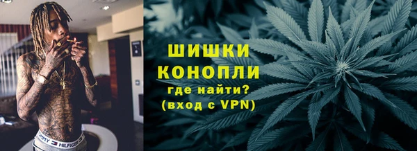 амф Арсеньев