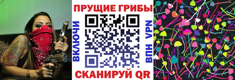 Галлюциногенные грибы мухоморы  Белозерск 